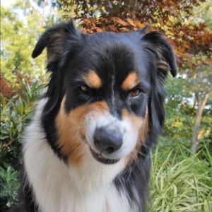 Meet your Posher, Christine